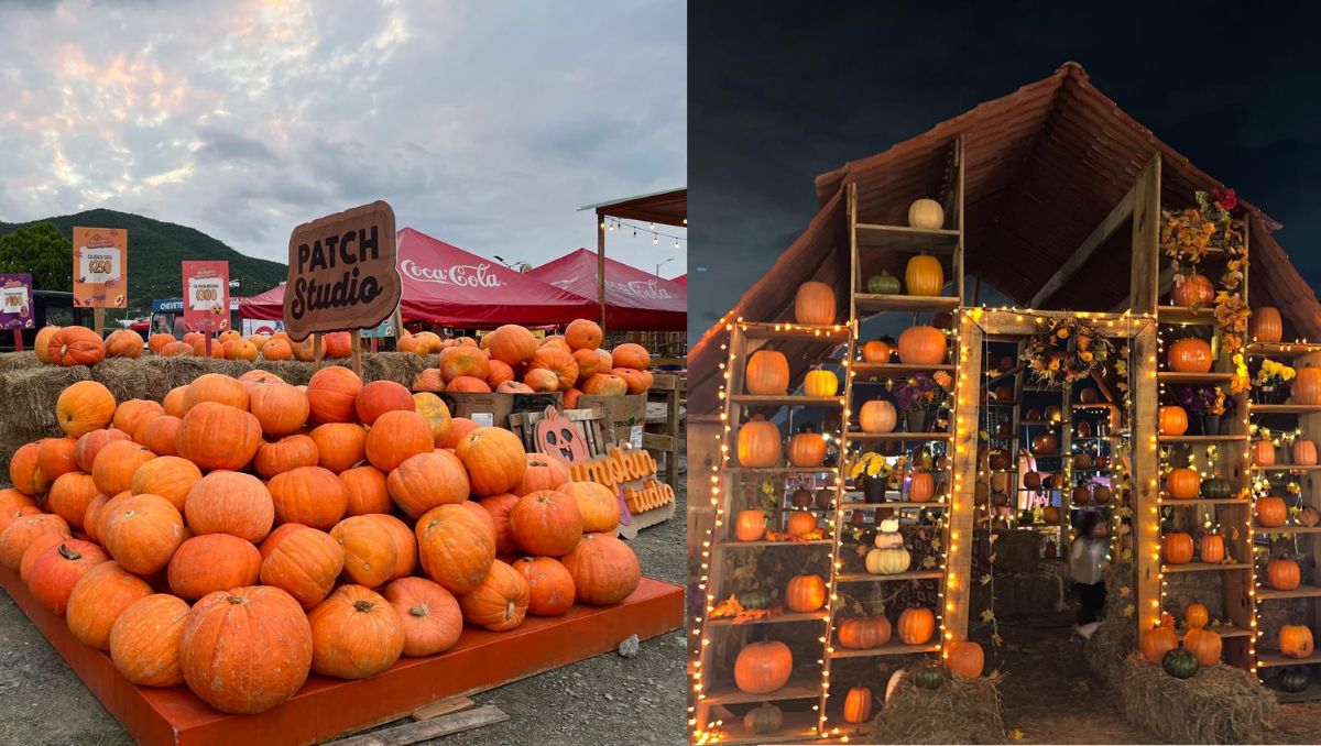 Pumpkin Dash 2026 abre en Monterrey. | Gabriela Tovar