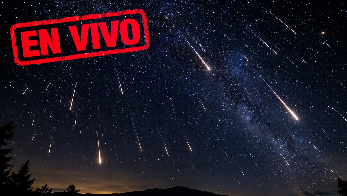 Sigue los últimos eventos con respecto a la lluvia de estrellas | IA DISCOVER