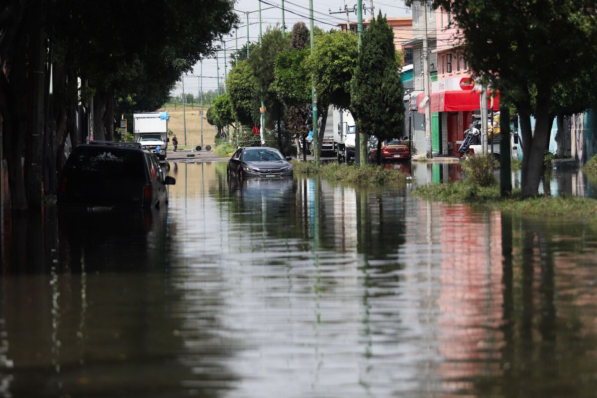Esta calle prototipo el objetivo es menos cemento. (Foto: Cuartoscuro)