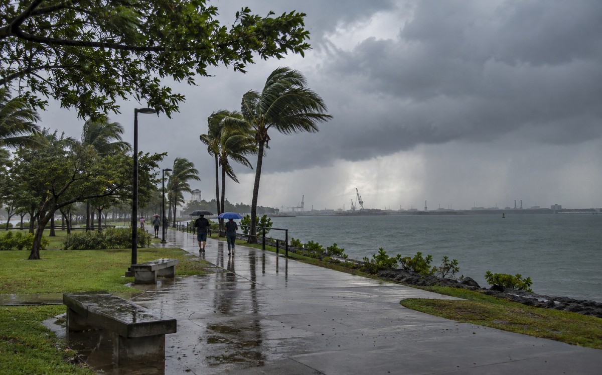 Chubascos, viento y oleaje elevado marcarán el clima en Tamaulipas. | Milenio IA