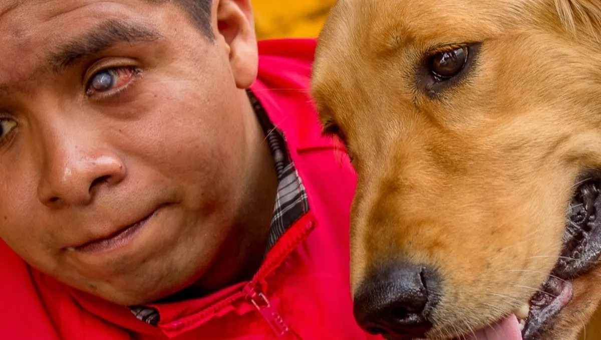 Escuela de perros guía podría cerrar por crisis financiera. | FOTO: