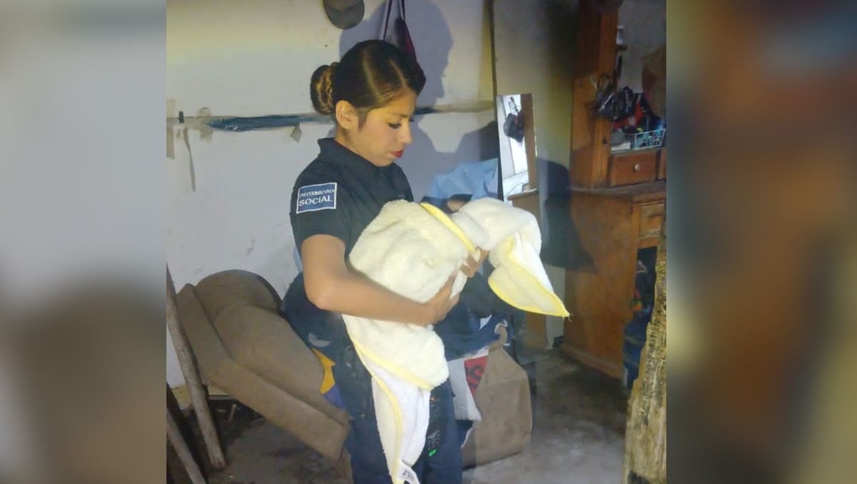 Policía auxilio a la madre en el nacimiento de la niña. | Foto de Seguridad Pública