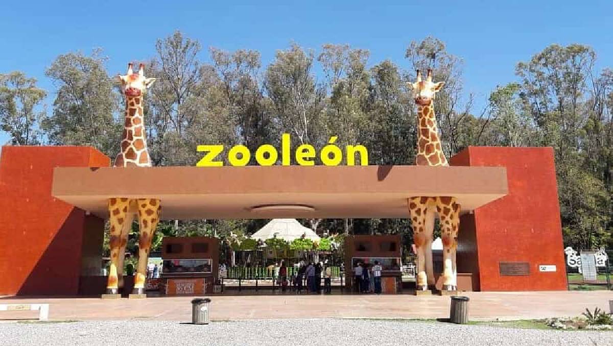 Zoológico de León informó sobre la inspección de Profepa | Redes Sociales