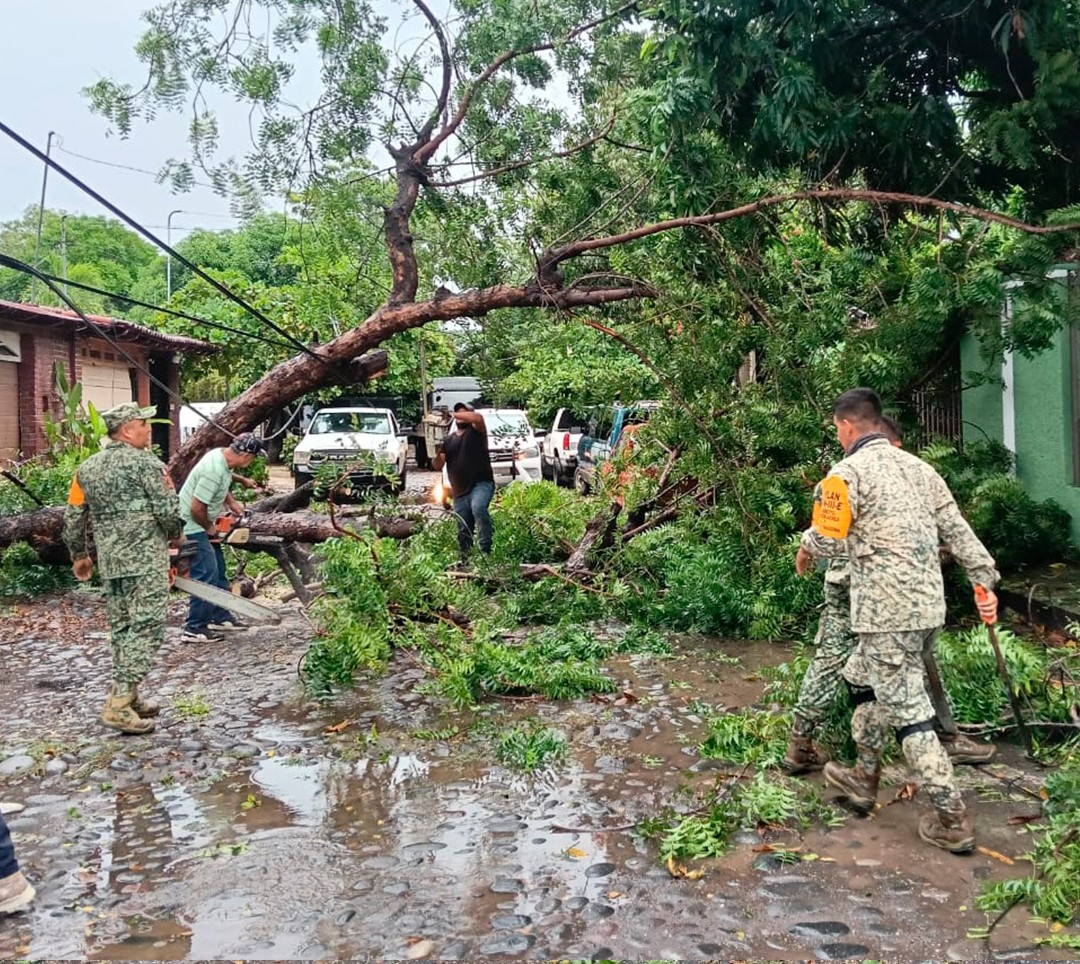 Elementos del Ejército Mexicano auxilian a ciudadanos en las zonas afectadas de Colima y Jalisco. | X