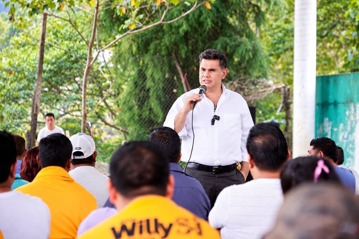 Willy Ochoa afirmó que el fallo contra los votos fabricados hace justicia al sentido común. | Especial