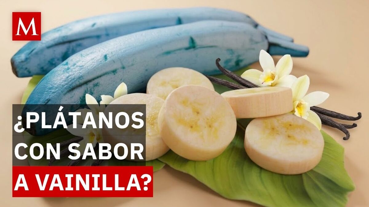 Agricultor español sorprende con el plátano azul y sabor a vainilla