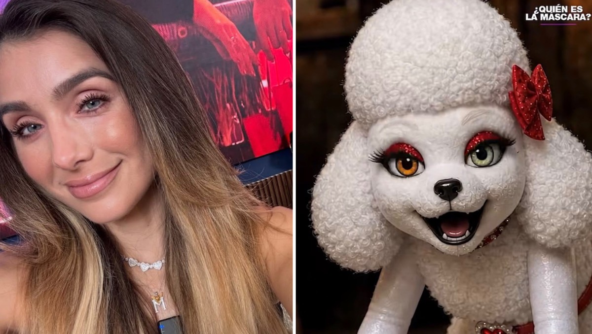 Fans aseguran que Marcela Mistral podría ser FifiÑera (RS)