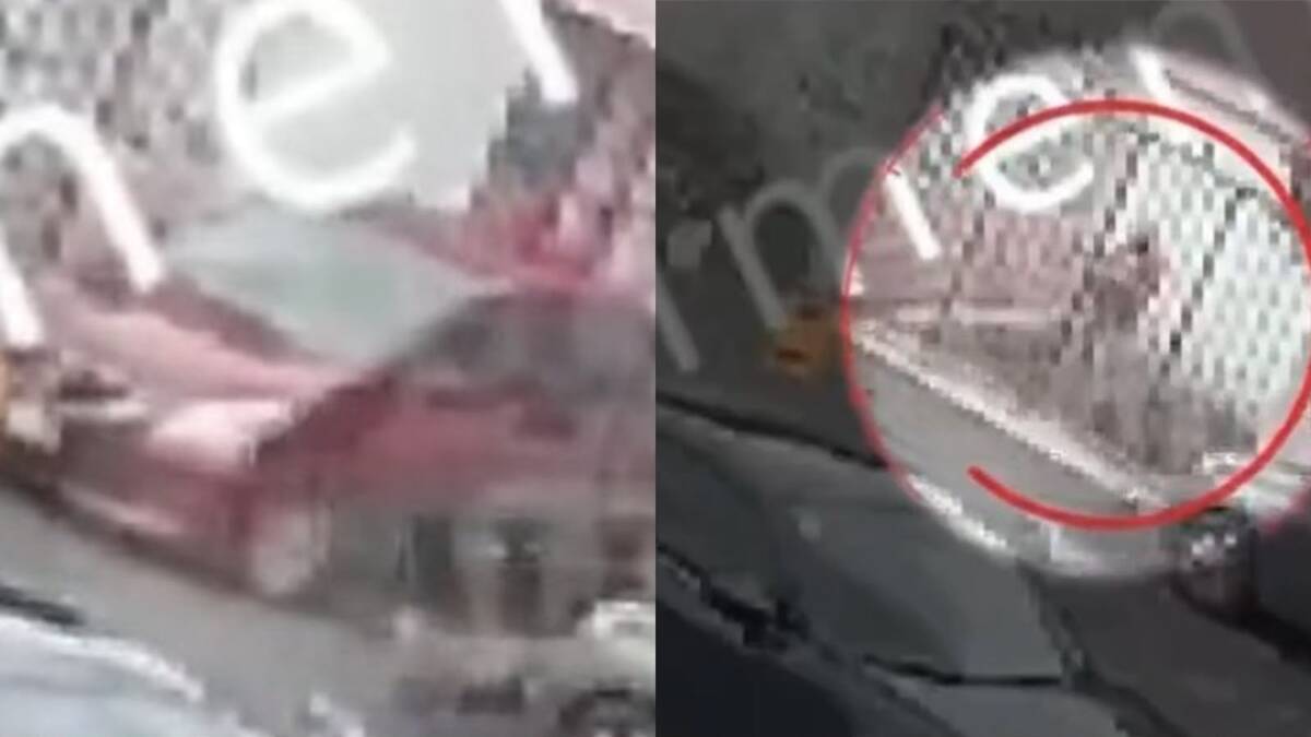 Policías de la SSC detuvieron al presunto asesino.