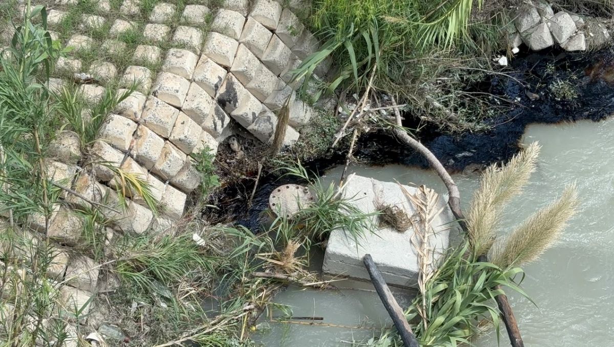 Solicitaron  un estudio para determinar qué sucedió con el agua. Foto: Édgar Plata