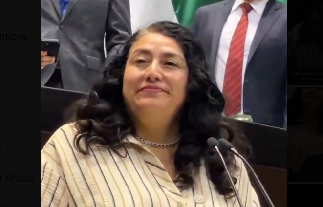 Damaris Silva  hizo expresiones durante la discusión de la Ley de Derechos. | Especial