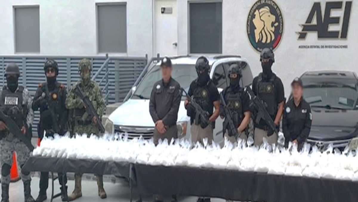 Durante el operativo en Nuevo León, también fueron asegurados  metanfetamina y vehículos | Foto: Especial