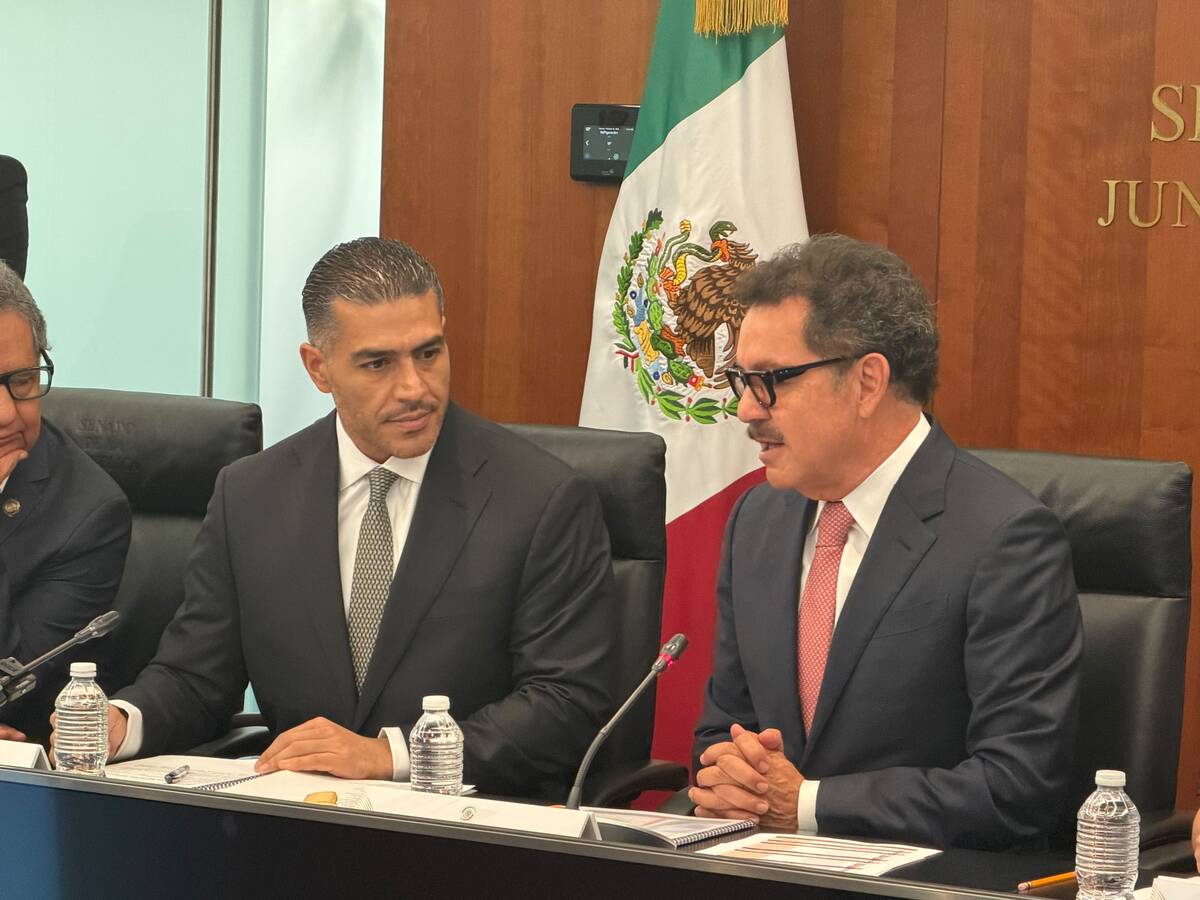 García Harfuch compareció en el Senado como parte de la glosa del Segundo Informe presidencial. | Foto: Especial