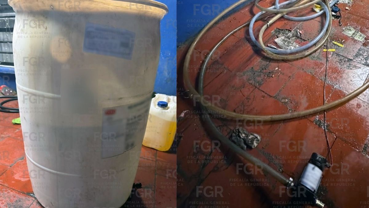 El material decomisado fue puesto a disposición de las autoridades federales. Foto: Especial