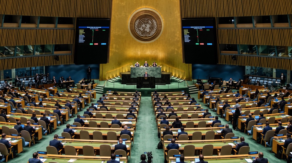 La Organización Mundial de la Salud (OMS) urgió a los Estados miembros a acelerar la aplicación del marco "Una Sola Salud" | IA