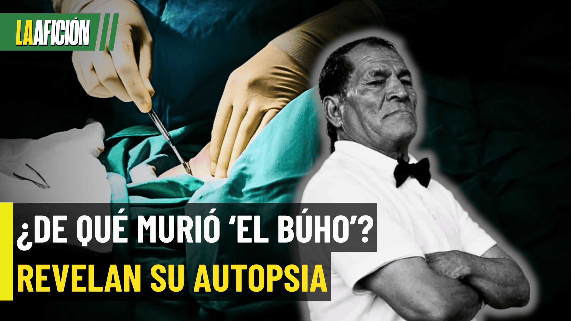 ¡REVELAN LA CAUSA DE MUERTE DE EL BÚHO! La necropsia apunta a un traumatismo