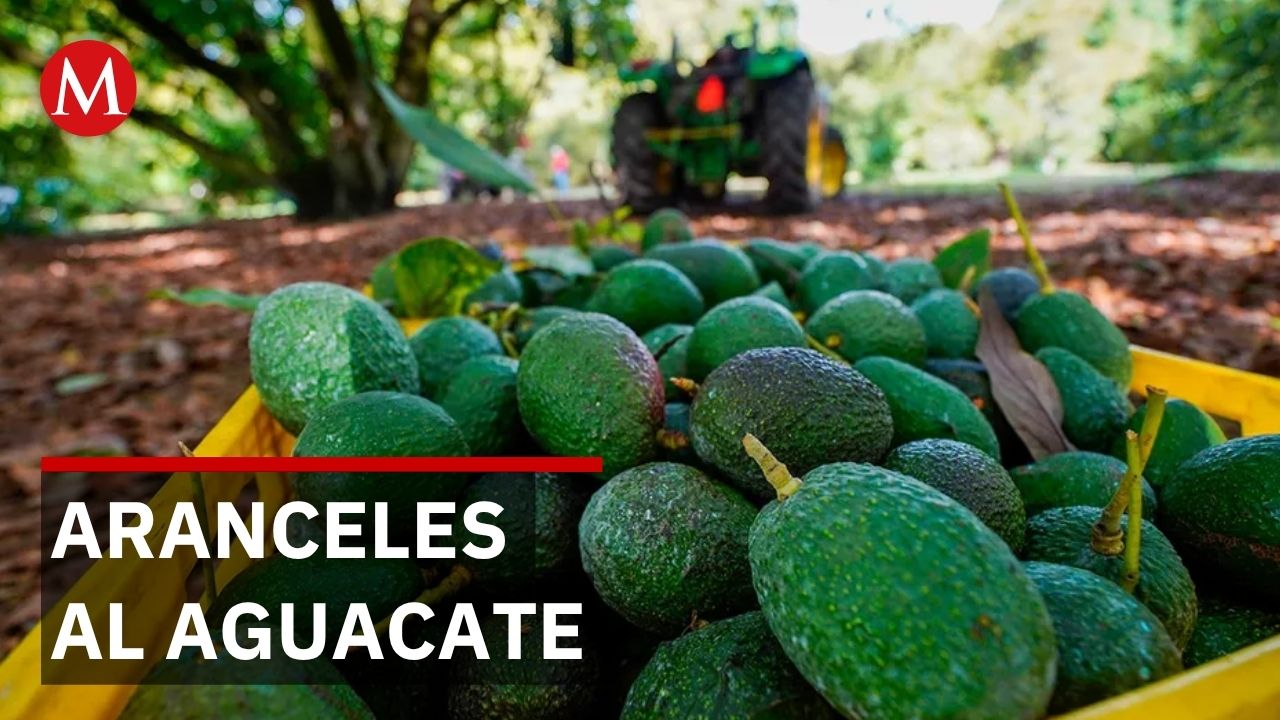 Fernando Haro rechaza aranceles de California contra el aguacate mexicano