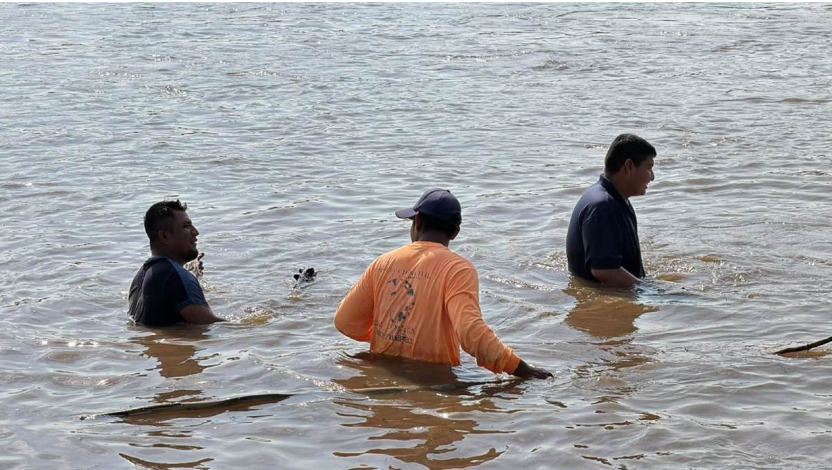 Pobladores y cuerpos de emergencia buscan al adulto mayor en el río y zonas cercanas al mar en Oaxaca. | Foto: Especial