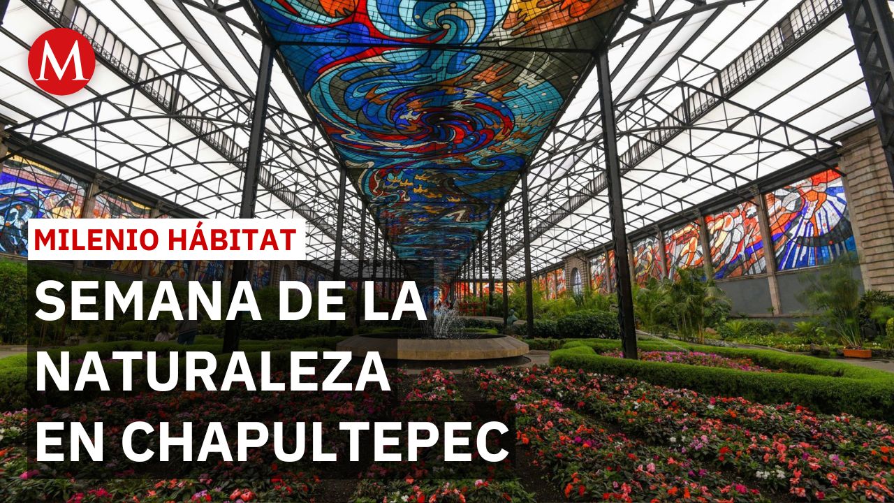 Jardín Botánico de Chapultepec reconoce a protectores de áreas naturales | Milenio Hábitat