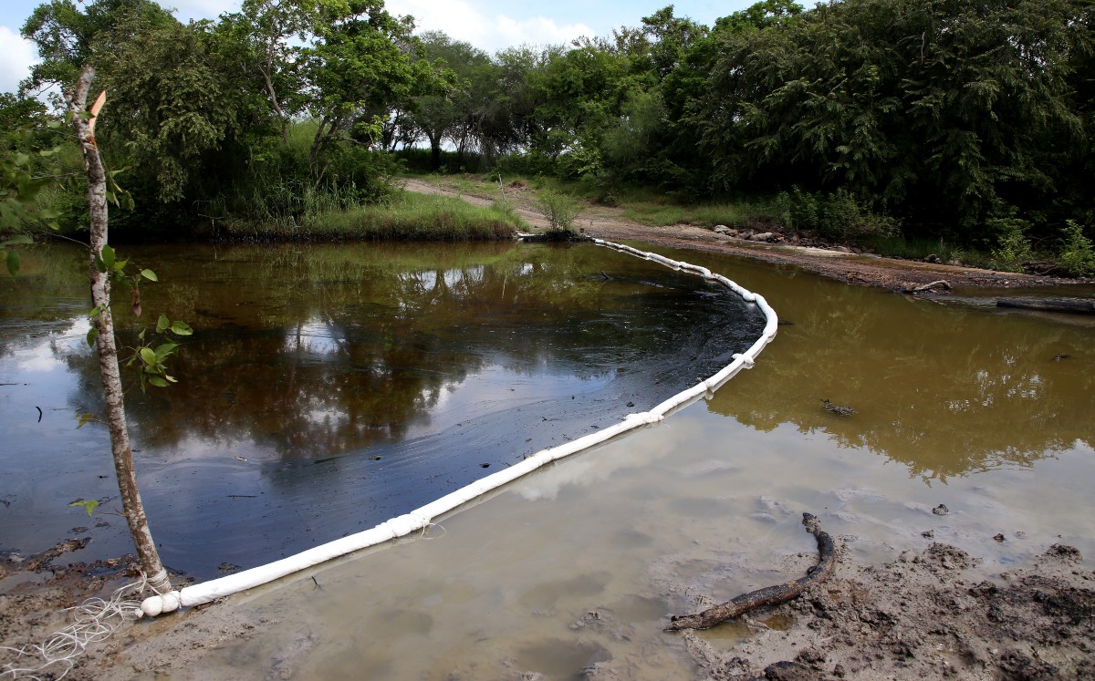 El problema se registró en el estero Barberena, en el norte de Altamira.| YAZMÍN SÁNCHEZ