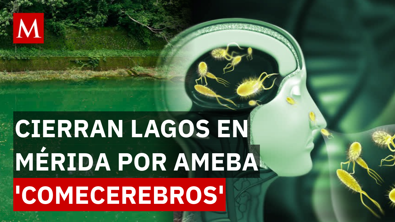 ¡Alerta sanitaria en Mérida! Restringen seis lagos tras detectar la ameba ‘comecerebros’