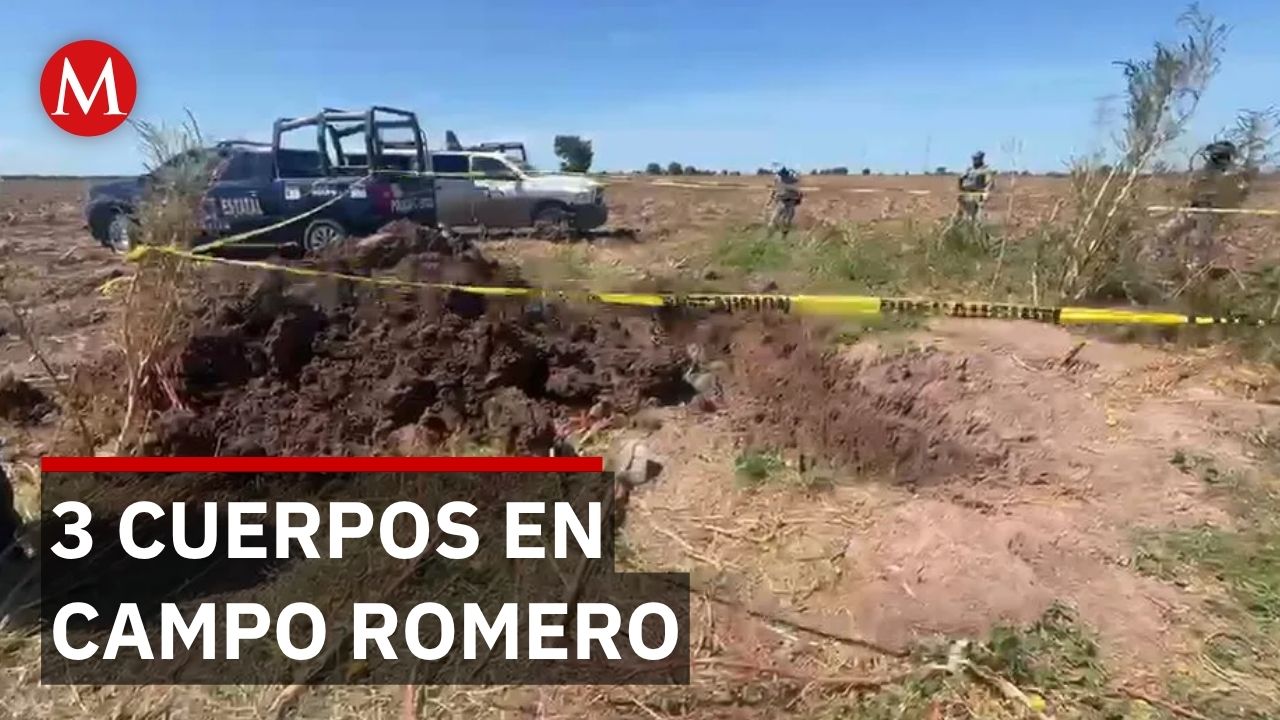 Colectivos hallan 3 cuerpos enterrados en terreno agrícola de Sinaloa