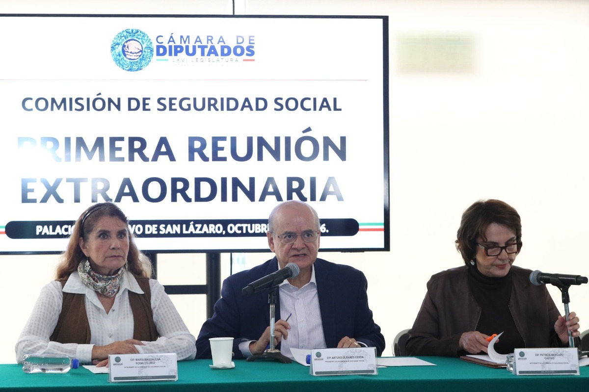 La Comisión de Seguridad Social de la Cámara de Diputados aprobó el presupuesto del sector para 2027. | Especial