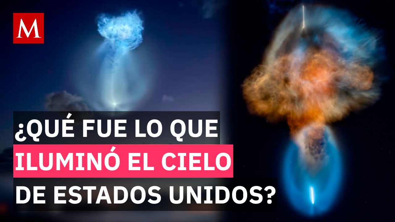 ¡Un espectáculo fuera de lo común! La extraña medusa luminosa que apareció en Florida