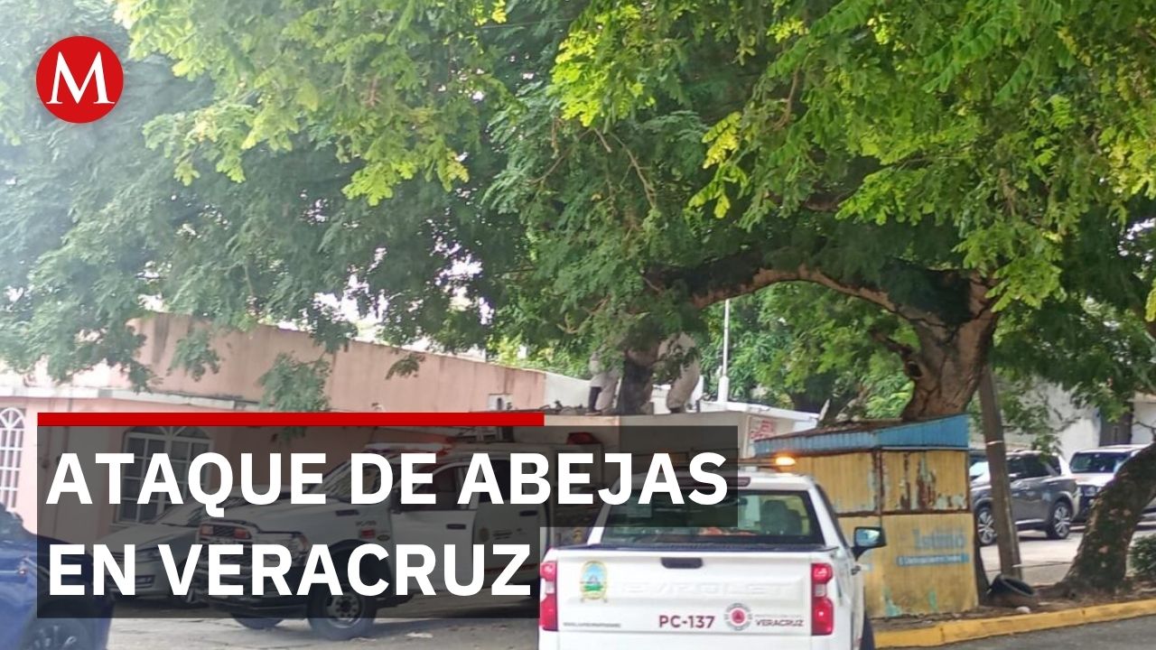 Protección Civil contiene ataque de abejas en Coatzacoalcos tras dejar heridos