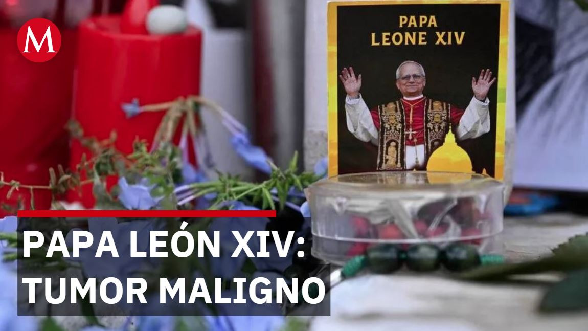 Papa León XIV retoma actividades diplomáticas tras cirugía de pulmón