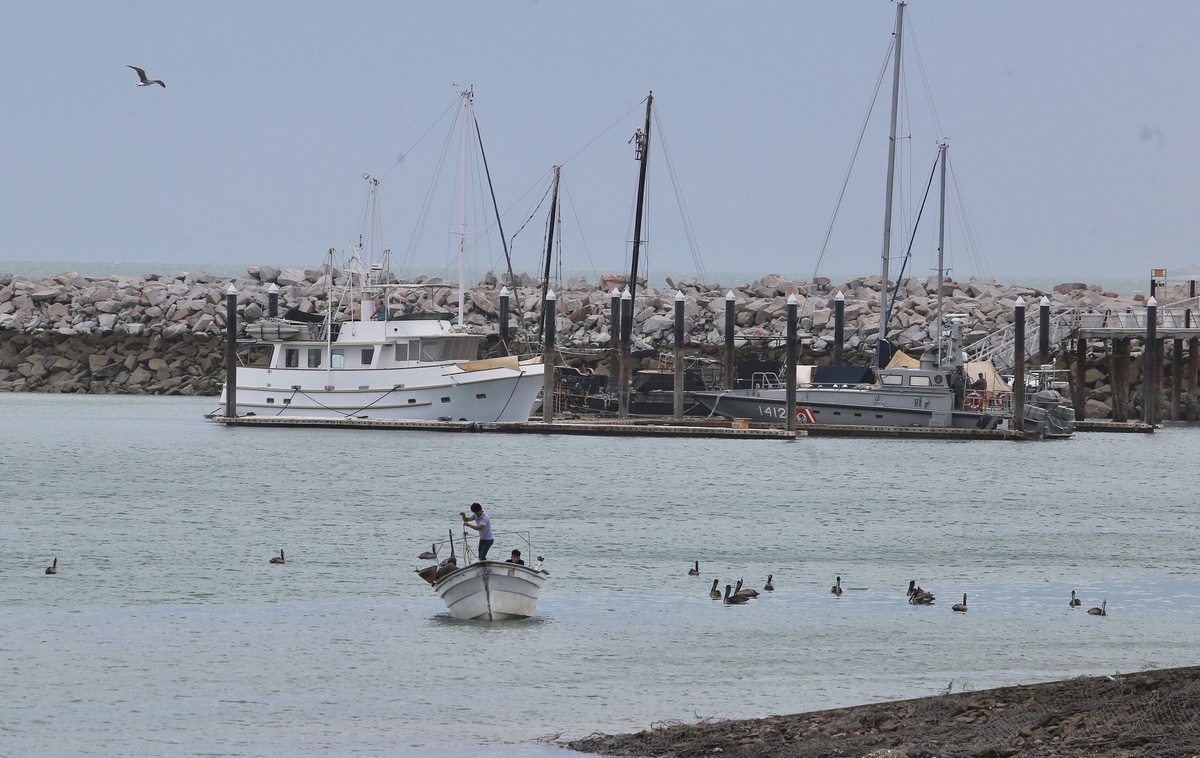 Semarnat reactiva pesca en hábitat de vaquita marina por CITES