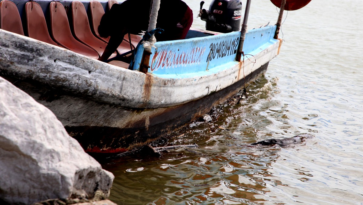 Derrame de Pemex contamina el río Pánuco. (Yazmín Sánchez)