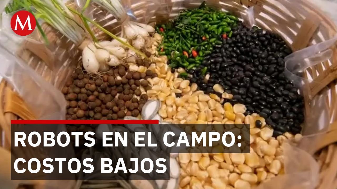 Impulsan robots y riego inteligente para el campo