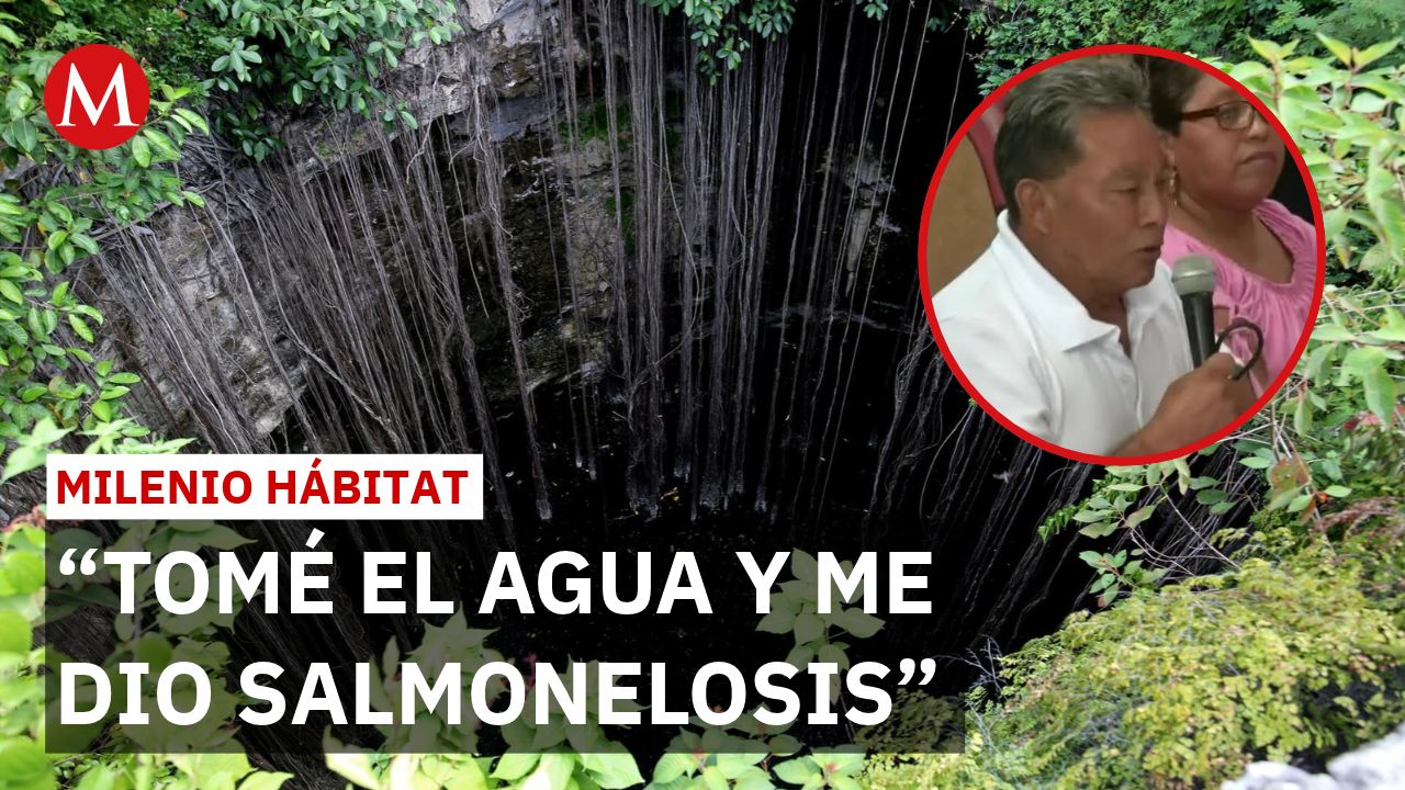 Comunidades mayas exigen cerrar granjas de cerdos por contaminar cenotes