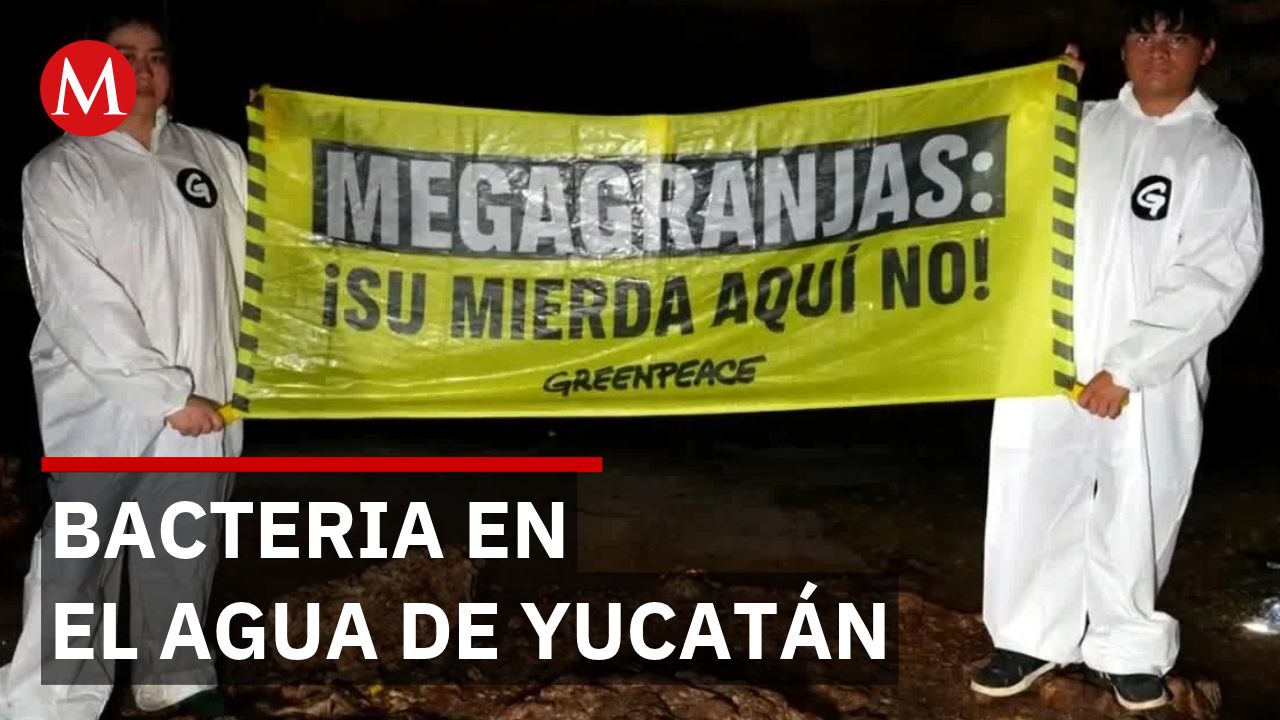 Greenpeace detecta bacterias fecales en pozos de comunidades mayas de Yucatán