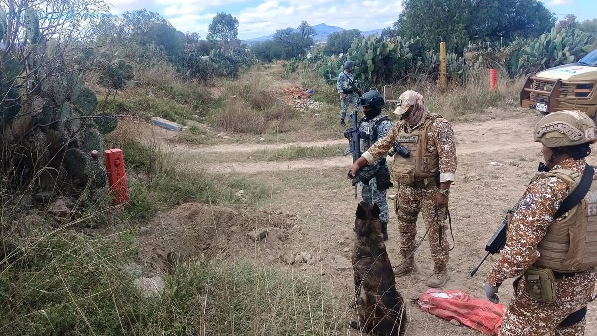 Kratos  fue el perro encargado de encontrar el túnel de huachicol.