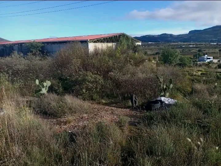En 24 horas localizan a tres hombres sin vida en San Agustín Tlaxiaca. (Especial)