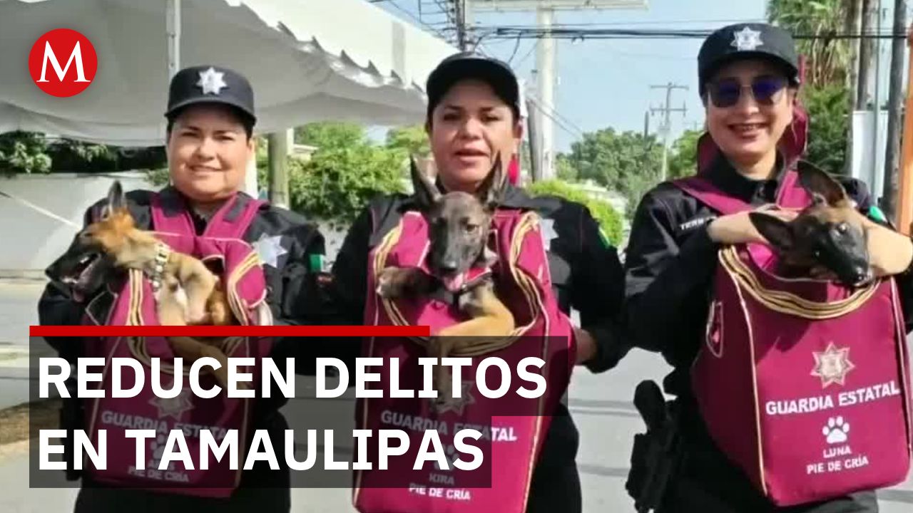 Tamaulipas ocupa el noveno lugar nacional con menor incidencia delictiva