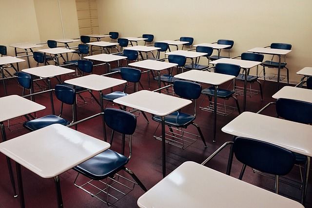 Clases (Uso libre)