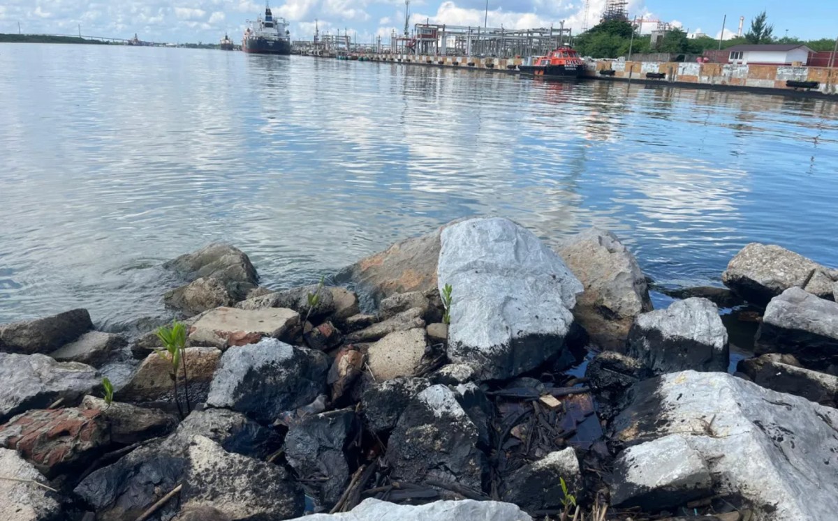 Detalles del derrame en río Pánuco.| Yazmín S