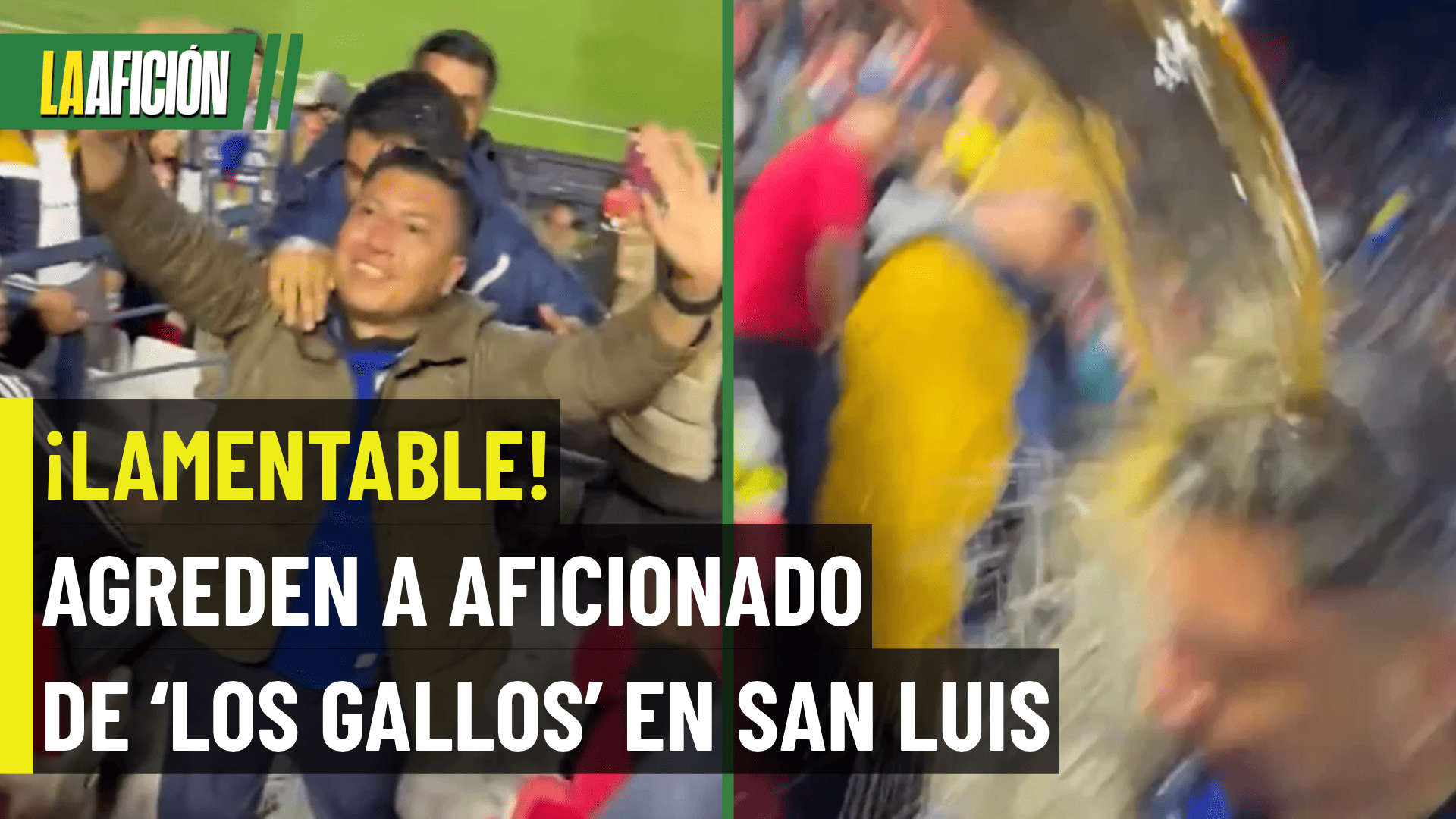 ¡INDIGNANTE! Así golpearon a un aficionado de Gallos Blancos en San Luis