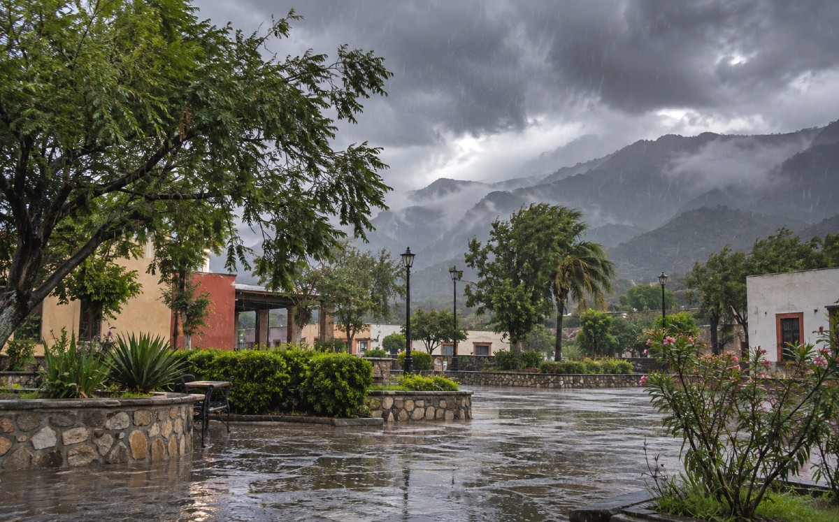 Lluvias fuertes y tormentas eléctricas marcarán el clima en Tamaulipas. | Milenio IA
