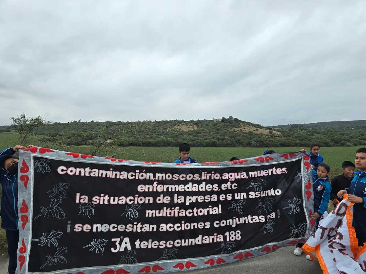 Estudiantes de la Telesecundaria 188 en Tula marchan para exigir una solución a la plaga del mosco culex en la presa Endhó. (Cortesía)