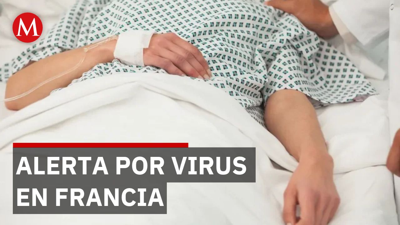 Francia reporta primer caso humano del virus Shamonda tras picadura