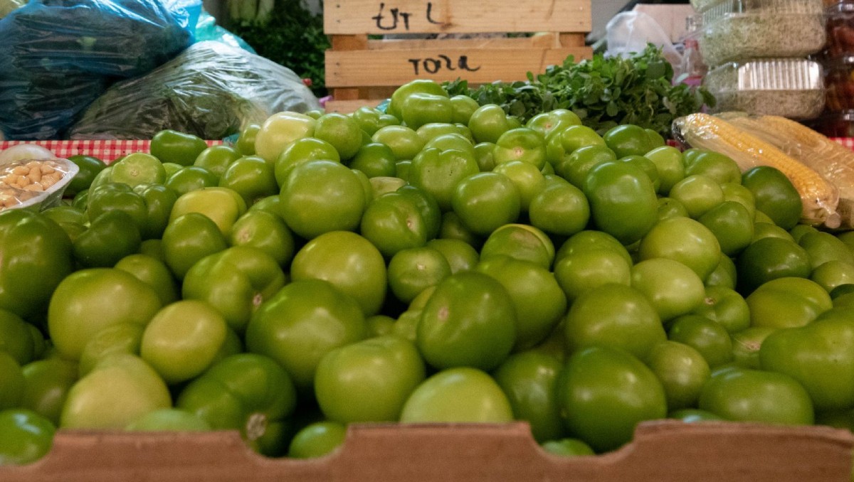 El precio del tomate verde creció 22% en la primera quincena de octubre, según Inegi. | Foto: Cuartoscuro.