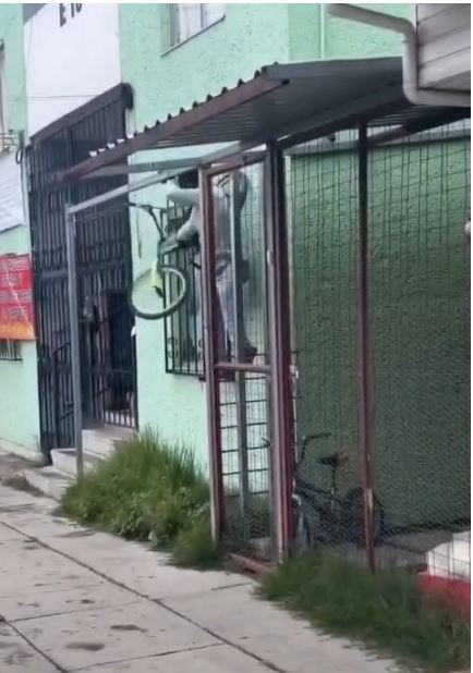 Un ladrón fue captado en video en la avenida Puerto Mazatlán, en el fraccionamiento El Palmar. (Redes Sociales)