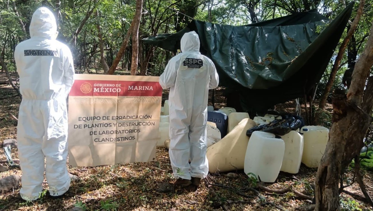 Narcolaboratorio en Sinaloa. | Foto: Especial