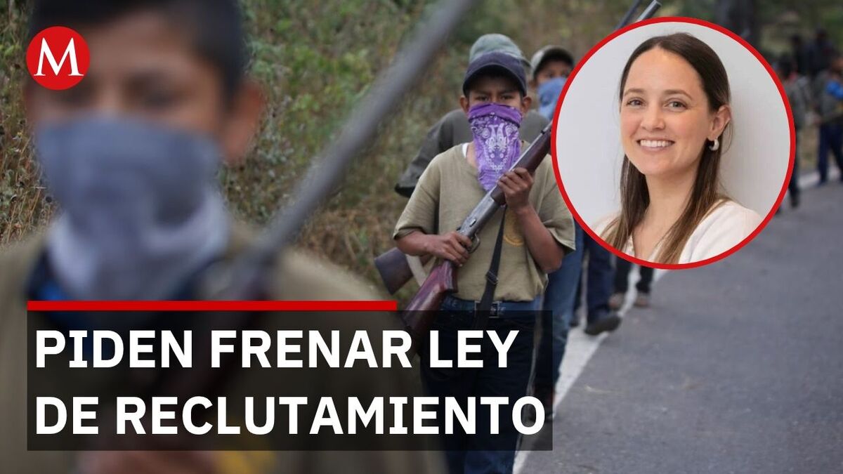 Organizaciones civiles piden al Senado frenar ley contra reclutamiento criminal de menores