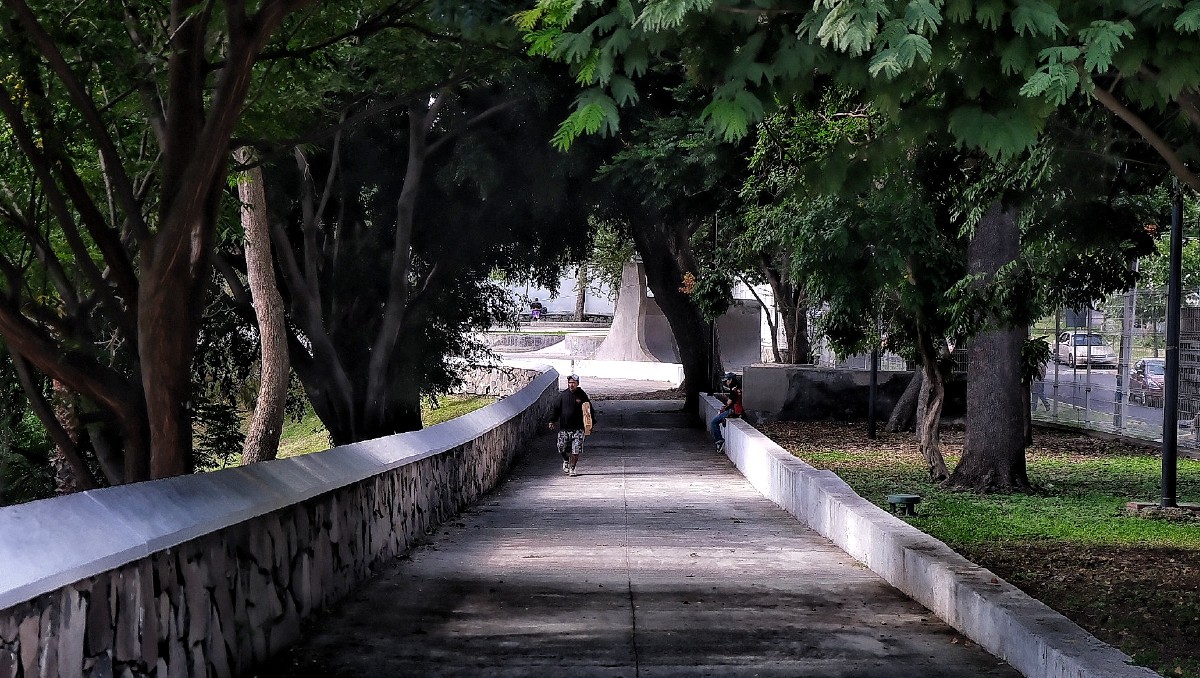 Parque Alcalde en Guadalajara cuenta con una comunidad felina amplia  (Cortesía Gobierno Jalisco)