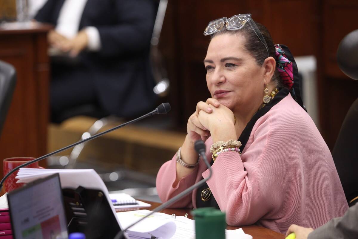 Taddei advirtió que los ataques no son sólo contra ella sino que buscan afectar a toda la institución. | Especial