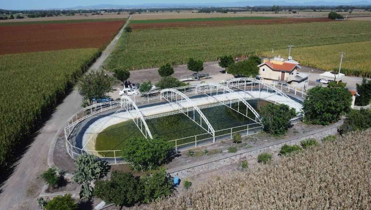Tren de pasajeros afectará productores | Dany Béjar